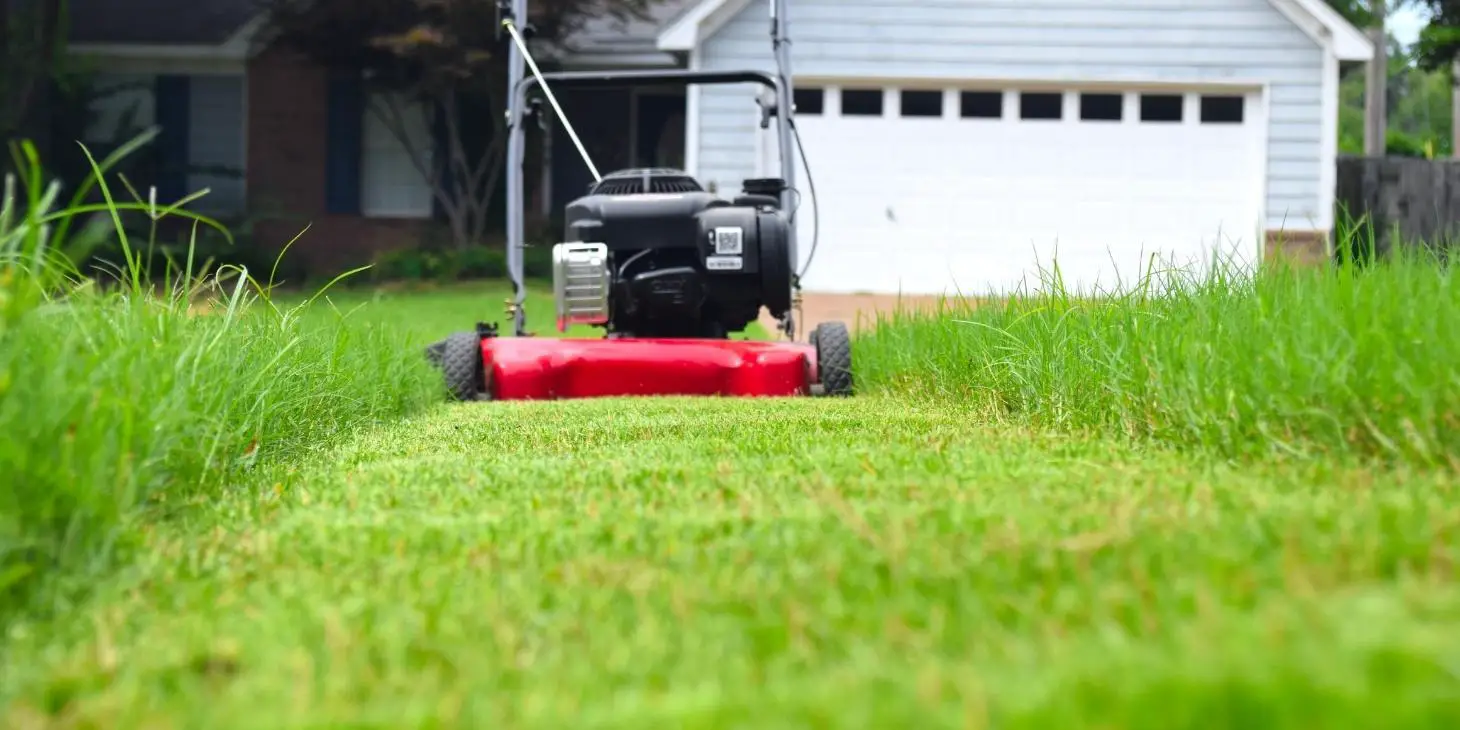 5 Benefits of Lawn Mowing Why to Use a Lawnmower for Landscaping Your Lawn