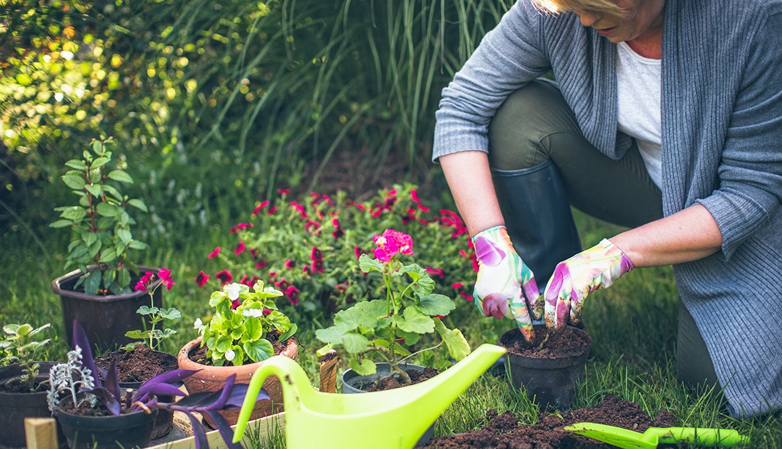 10 commendable gardening tips for beginners