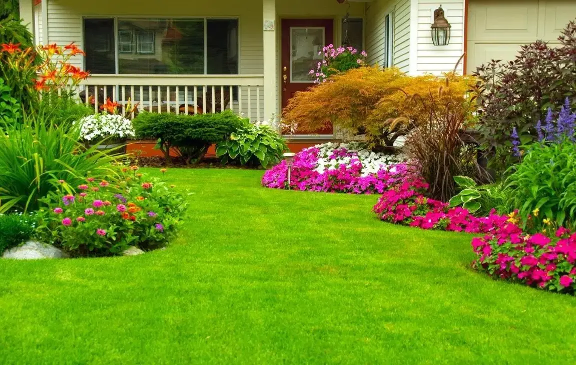 Five Important Tips to Keep Your Yard Healthy