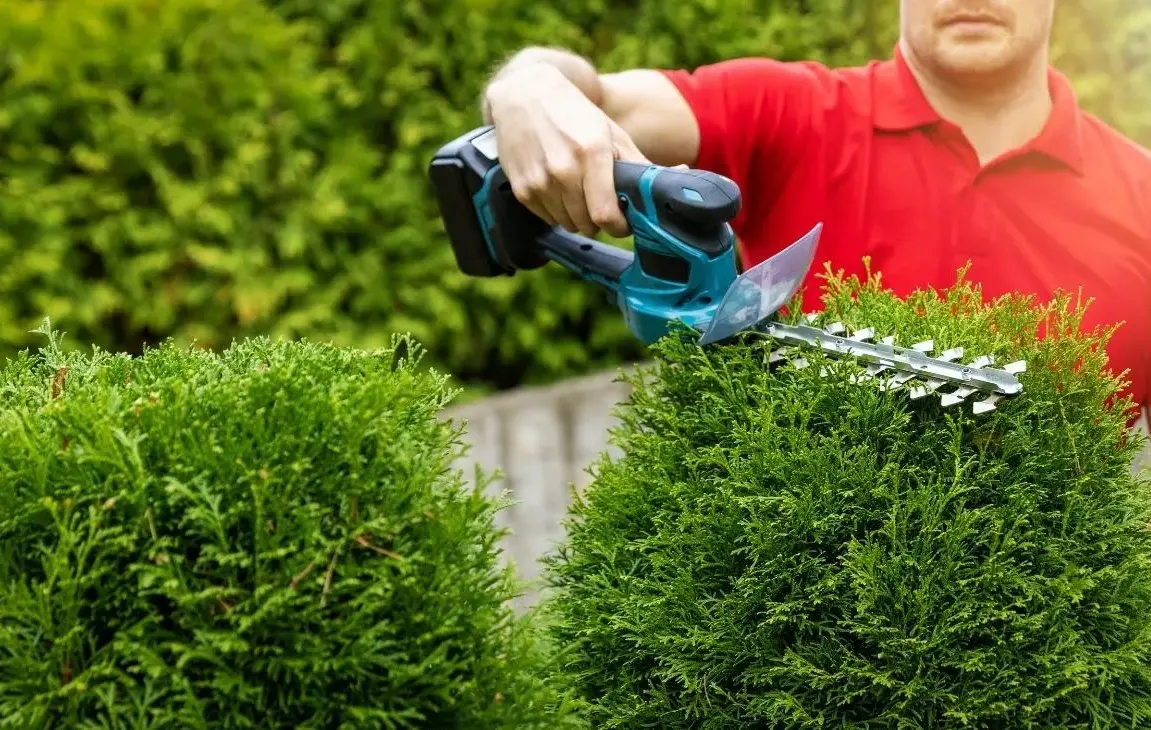 How To Avoid Overpricing Or Underpricing Your Landscaping Services