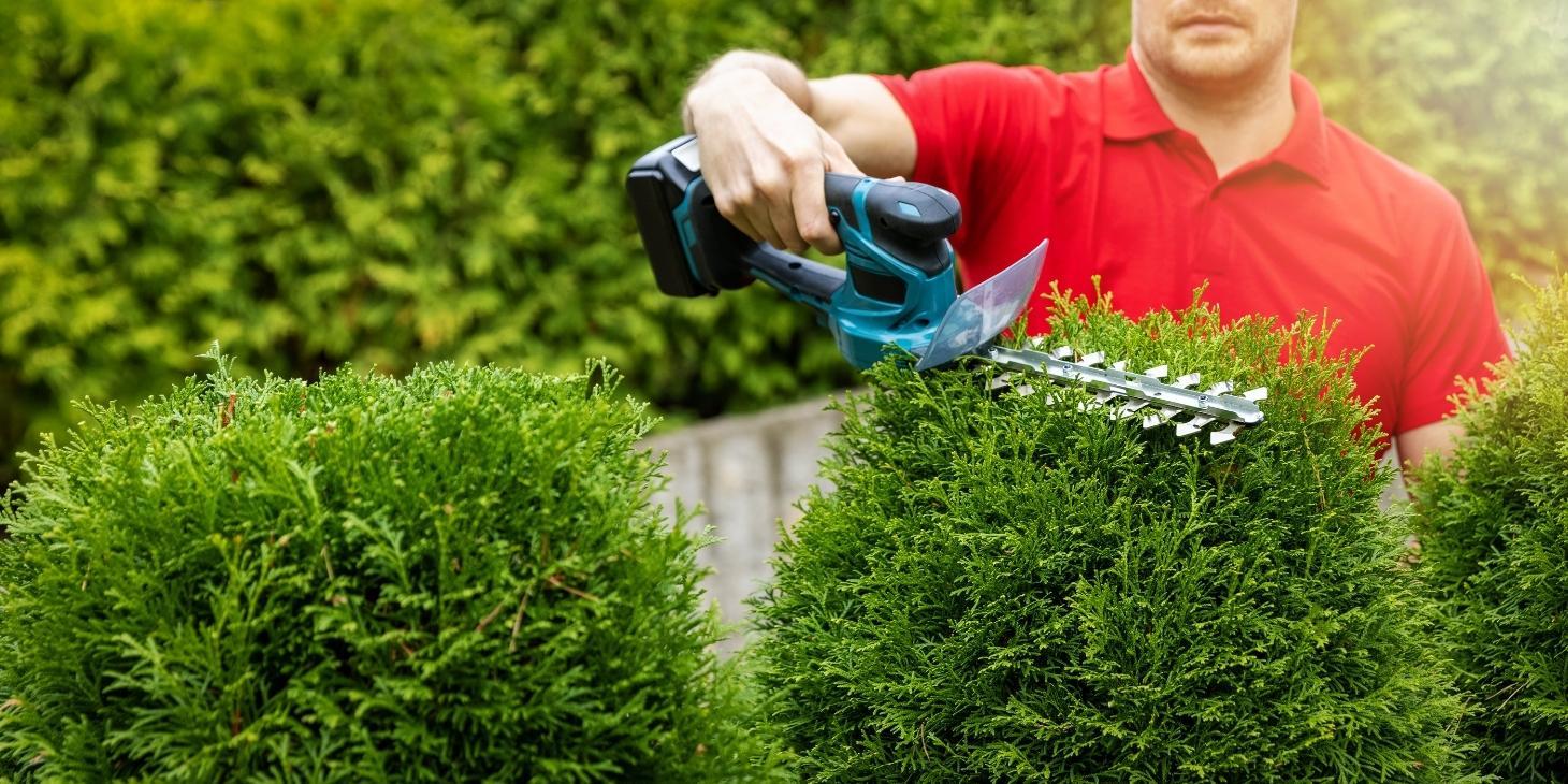 How To Avoid Overpricing Or Underpricing Your Landscaping Services
