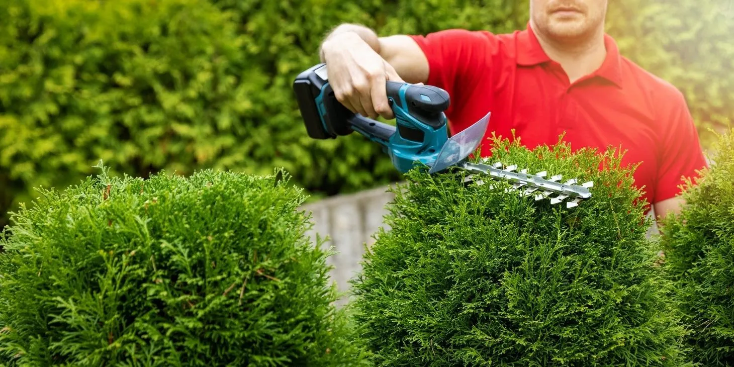 How To Avoid Overpricing Or Underpricing Your Landscaping Services