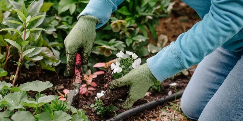 Select the garden type