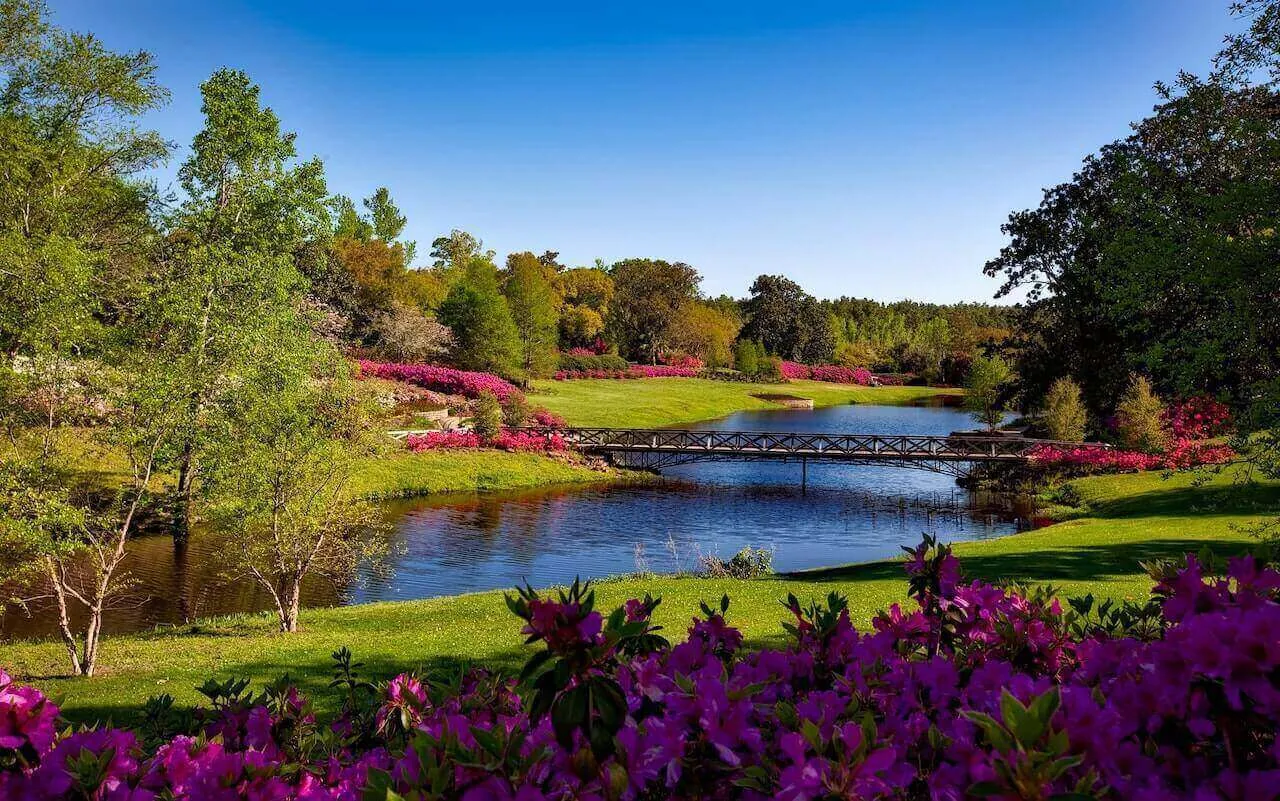 Landscaping Services