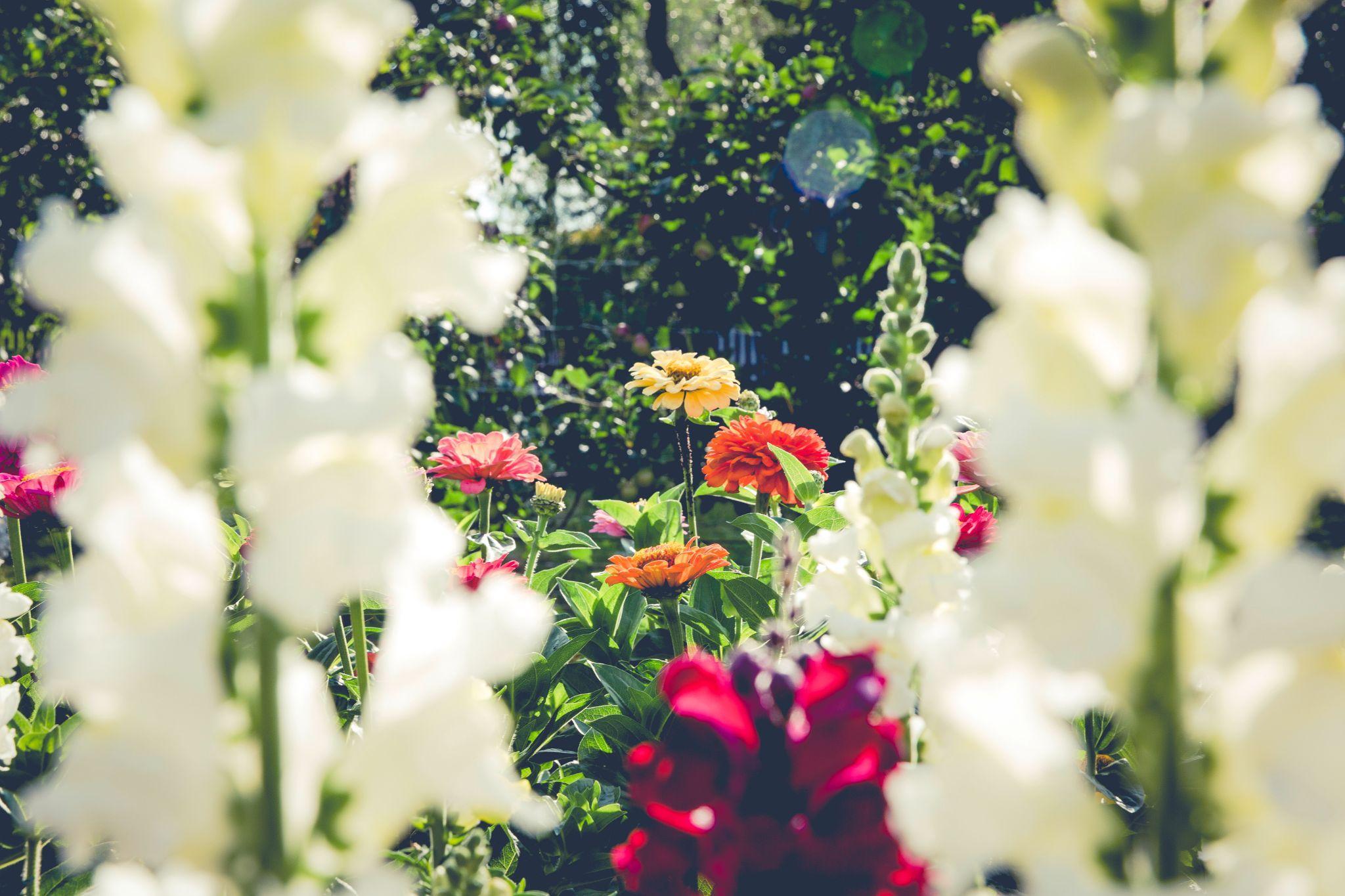 6 Things You Can Do To Make Your Garden An Oasis Of Tranquility