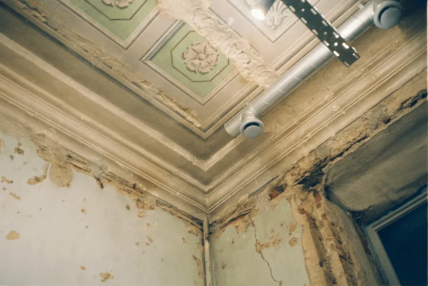 How To Find The Top Mold Removal Services