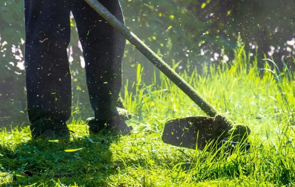 9 Lawn Care and Landscape Services Pennsylvania Homeowners Crave