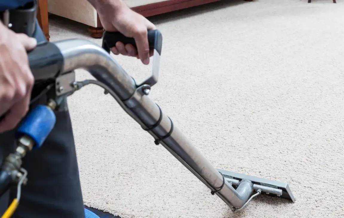 Top 5 Reasons Why You Should Choose Carpet Cleaning Services