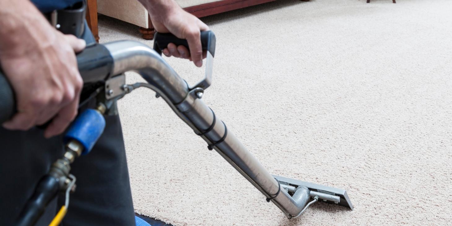 Top 5 Reasons Why You Should Choose Carpet Cleaning Services