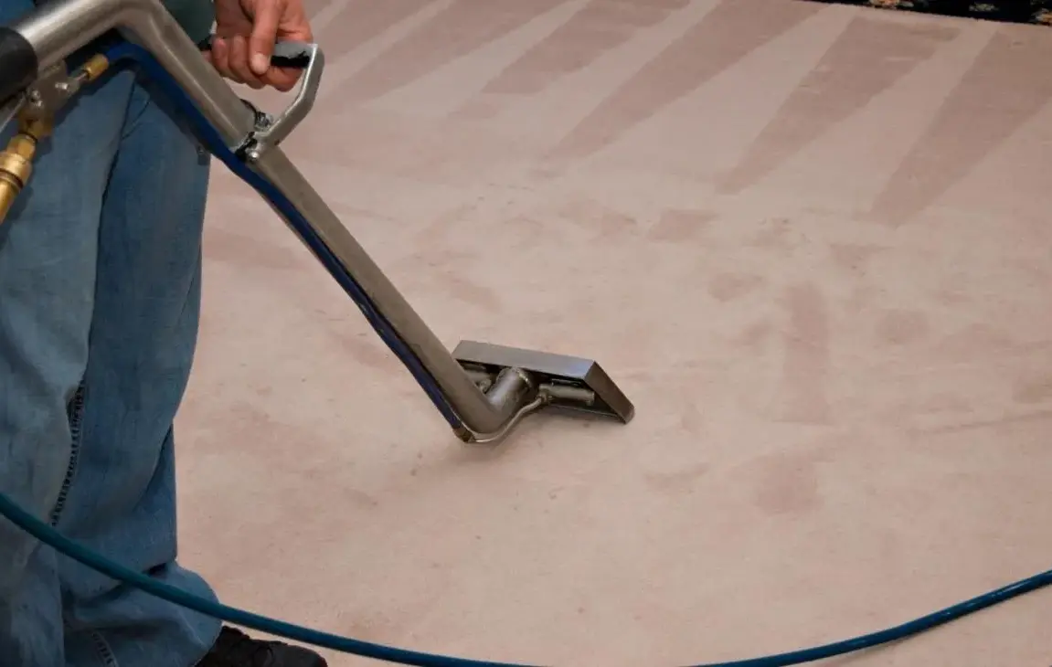 Carpet Cleaning Myths That Should Be Debunked Immediately
