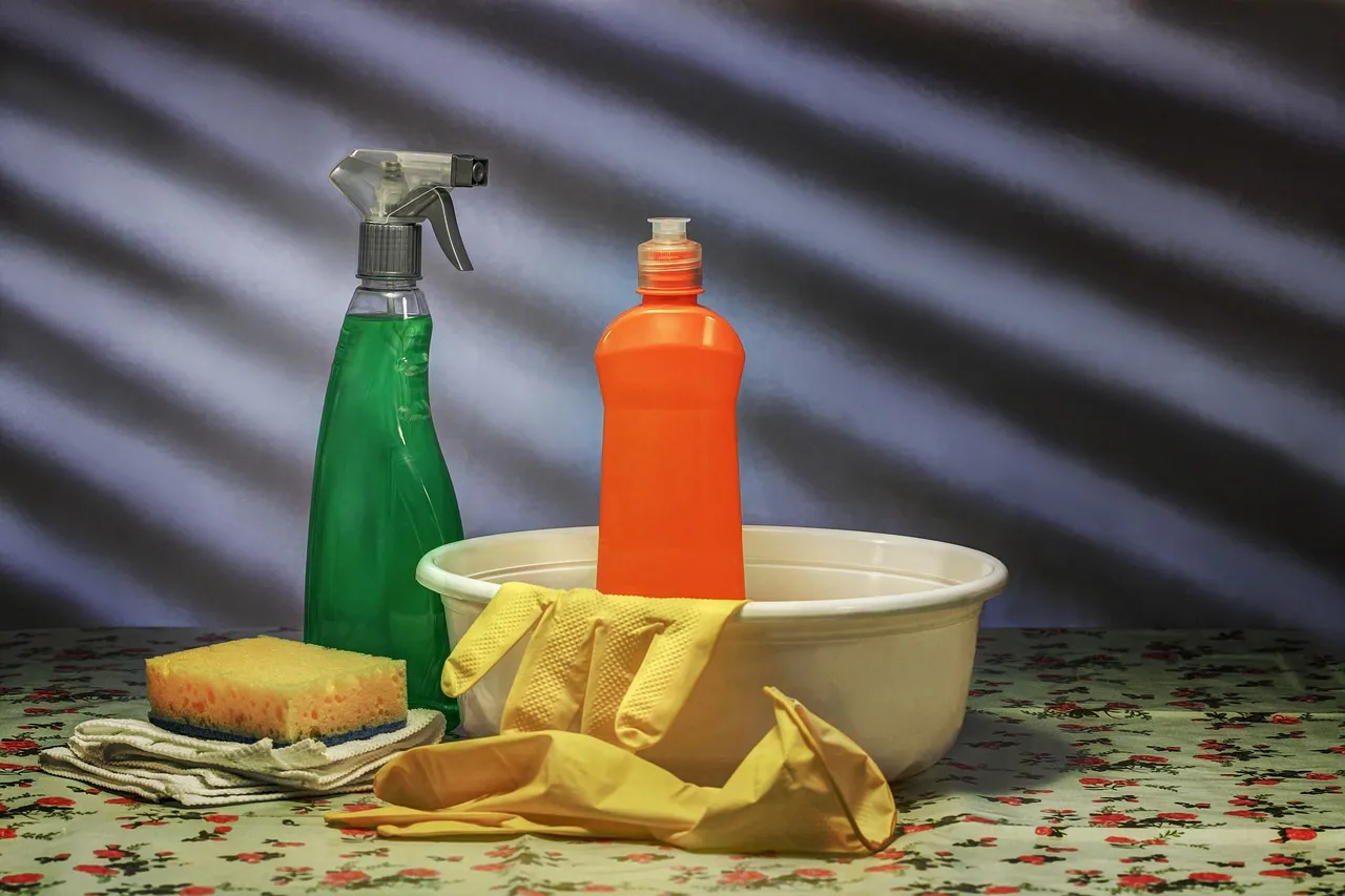 Useful and Necessary Things Every Homeowner Should Have In Their House