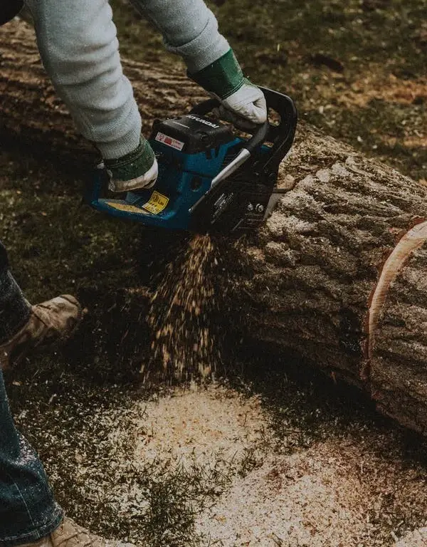 Here’s Why You Should Make the Switch to Electric Lawn Tools