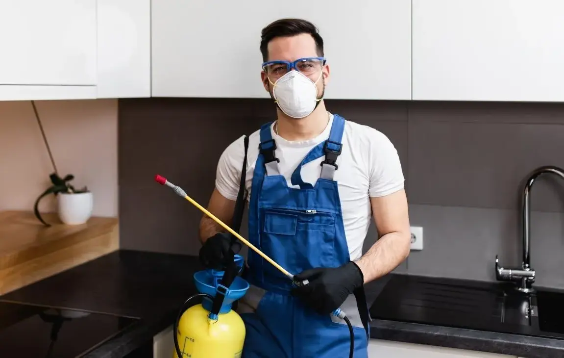 What Chemicals Do Pest Control Companies Use