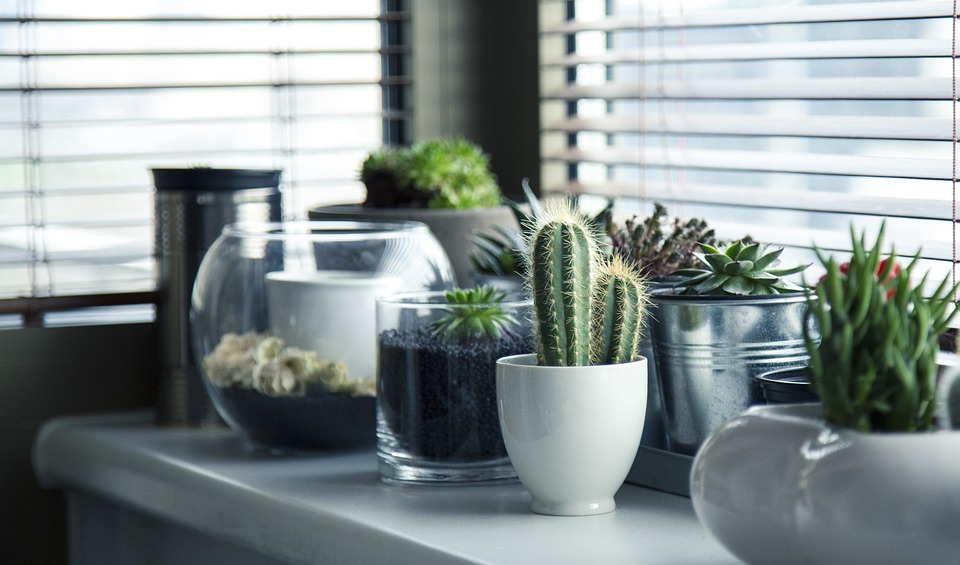 8 Tips To Help You Redecorate Your Home