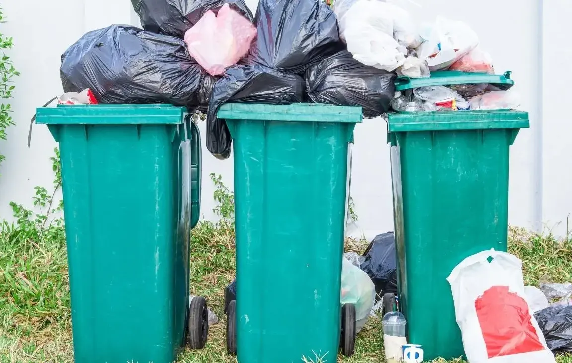 Garbage Can Enclosure