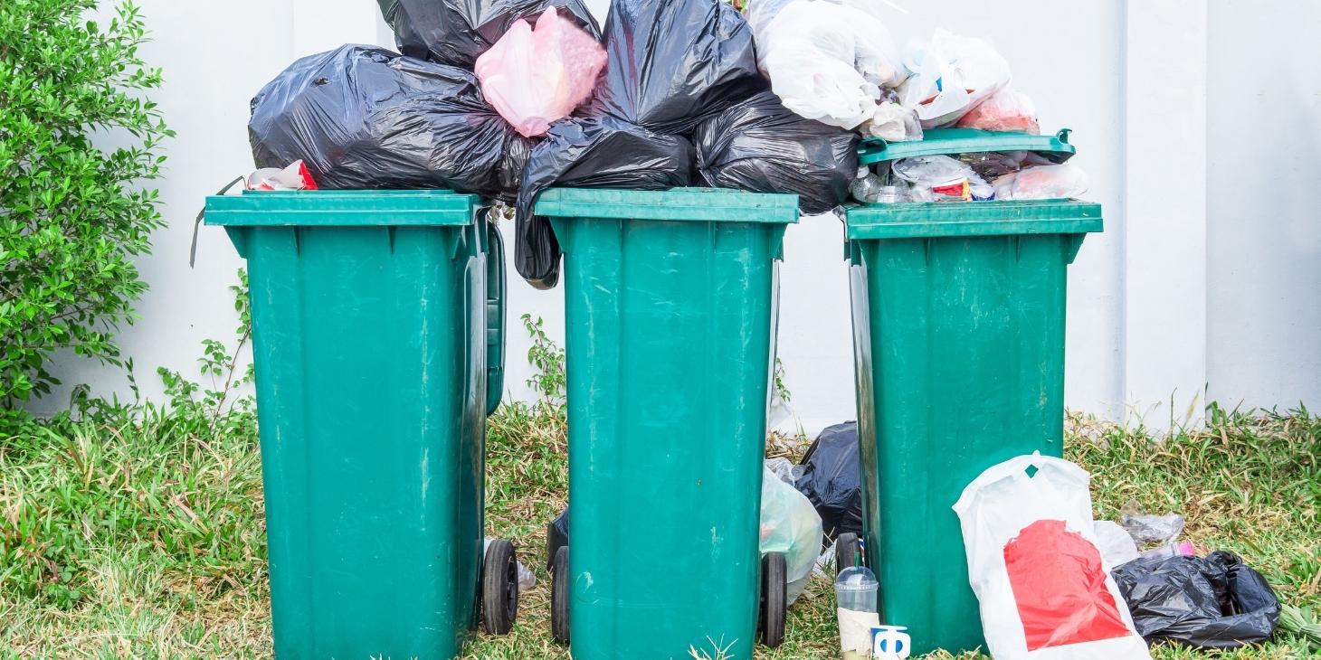 Garbage Can Enclosure