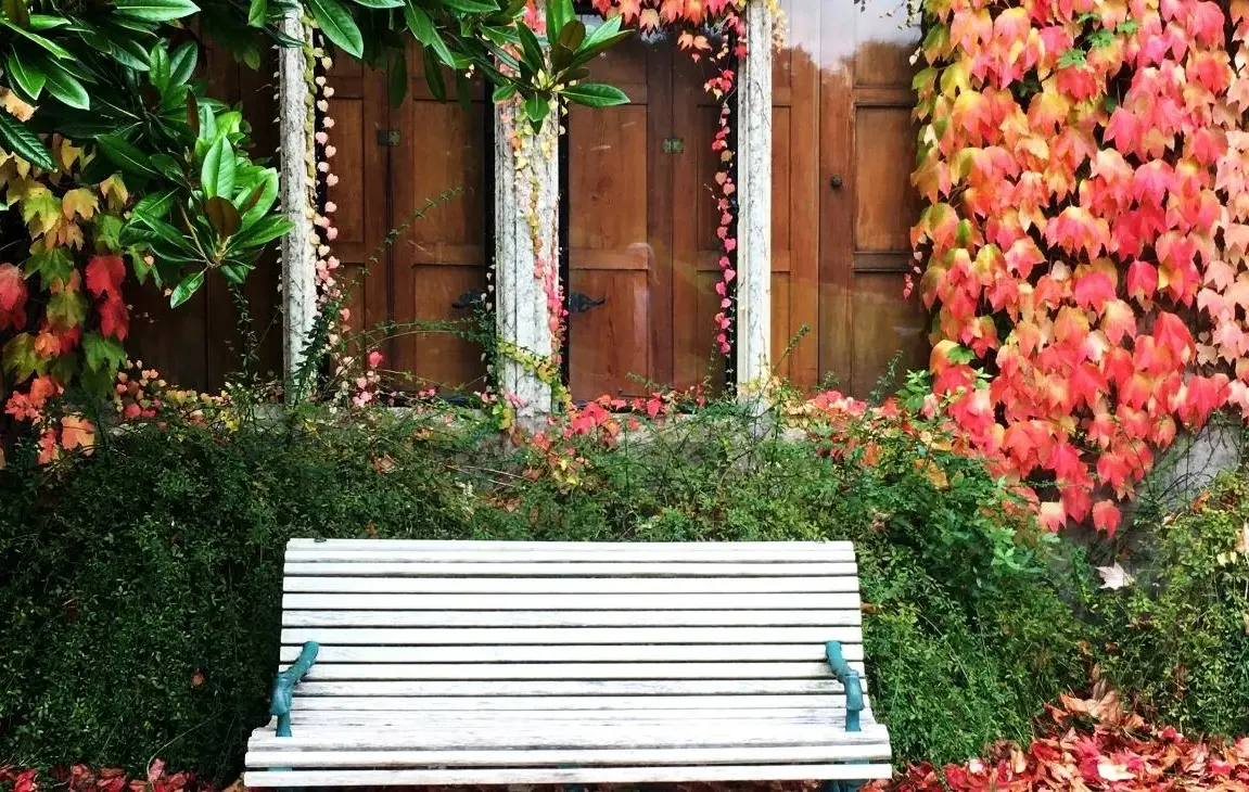Garden Seating Area