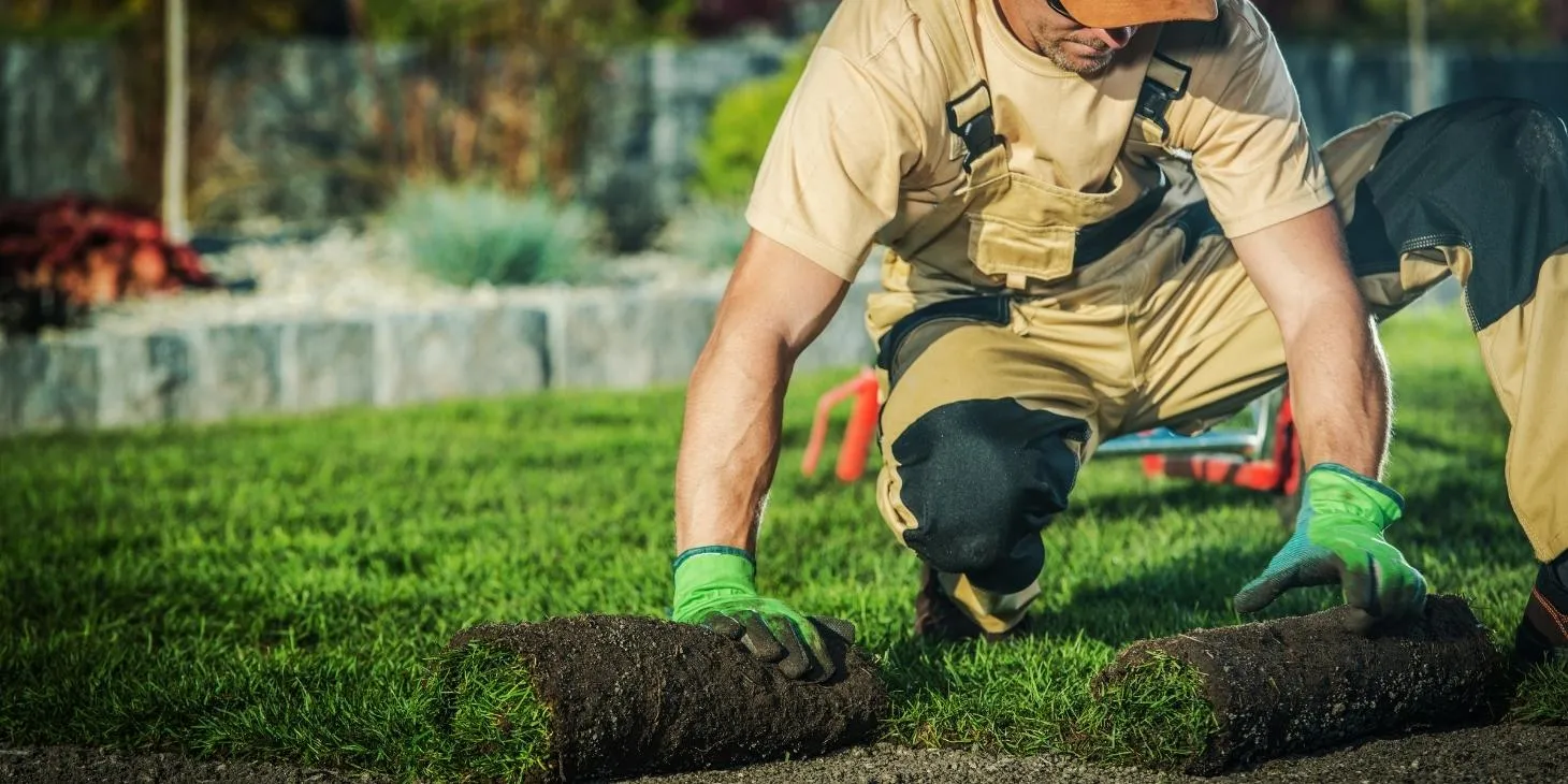 Landscaping