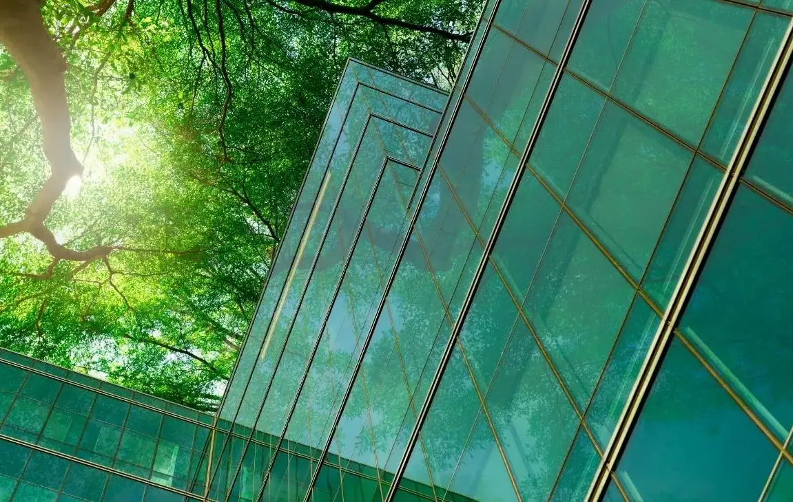 The Best Eco-Friendly Construction Strategies to Help the Planet and Cut Costs