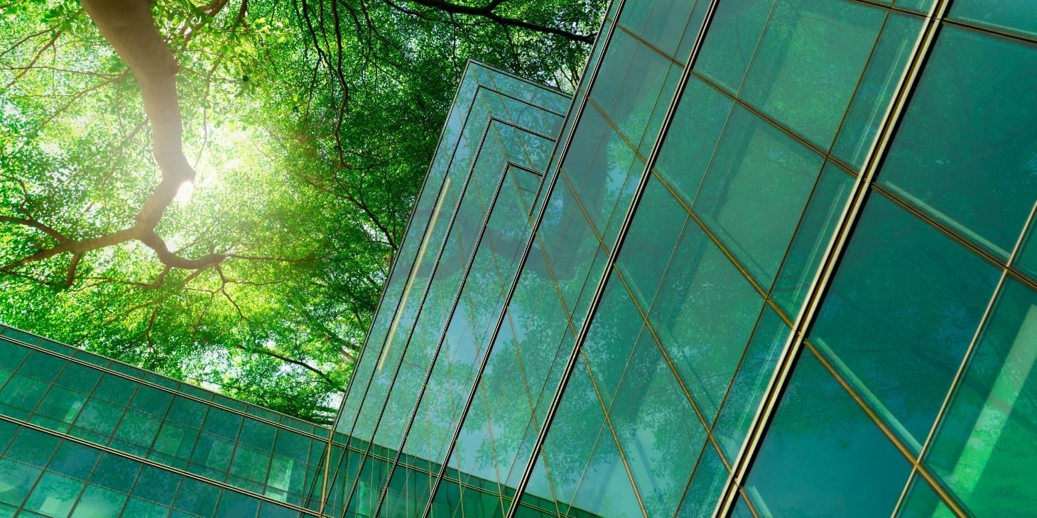 The Best Eco-Friendly Construction Strategies to Help the Planet and Cut Costs