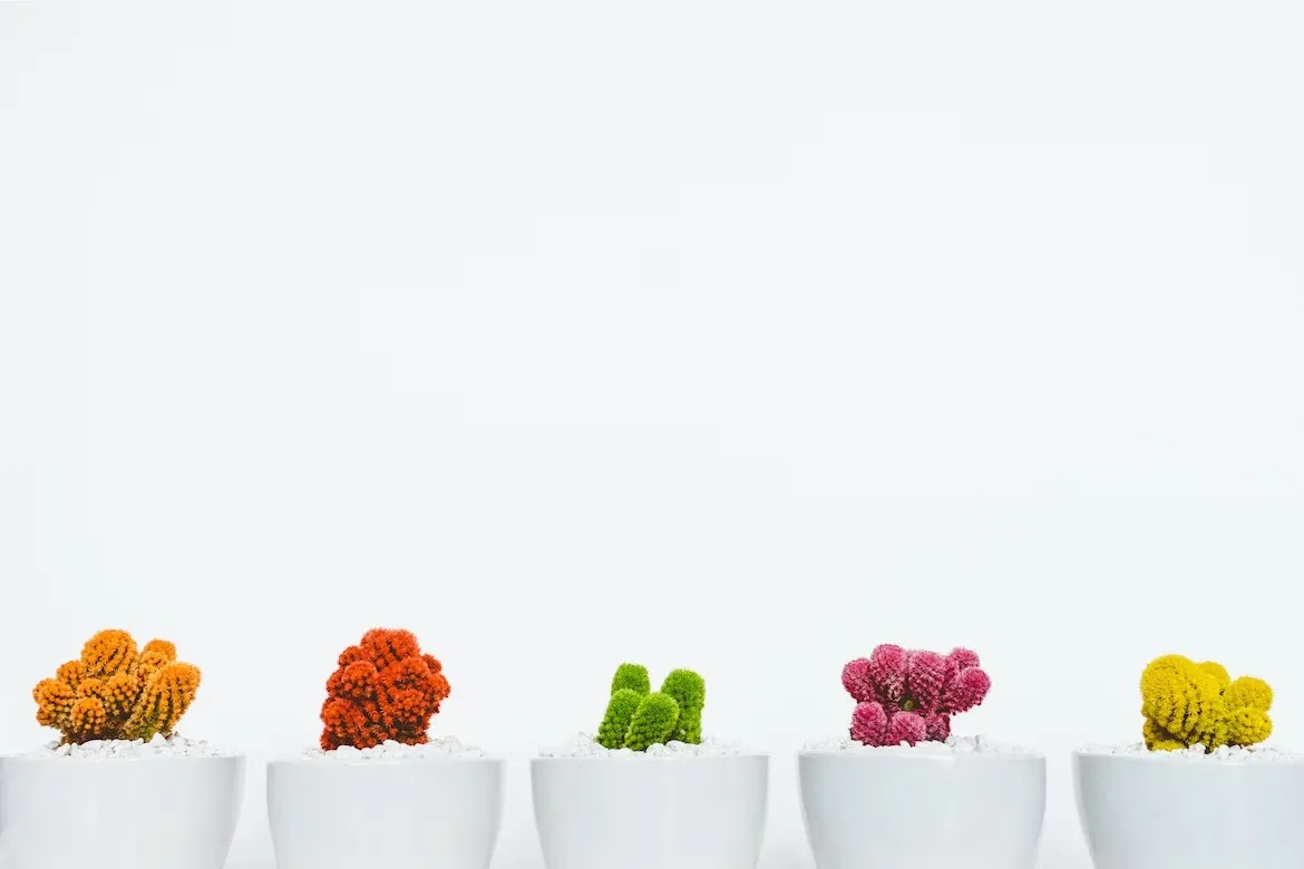 Choose soothing colors