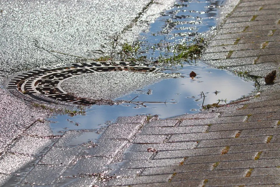Ensure Proper Drainage
