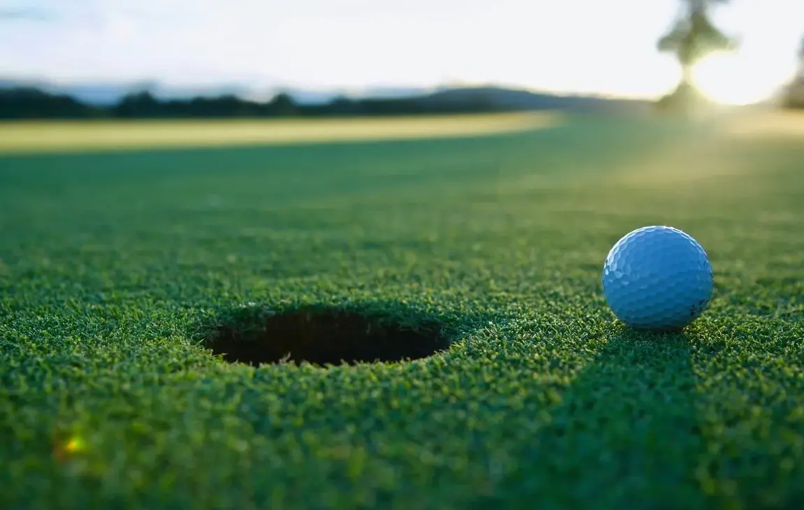 Building a golf bay at home