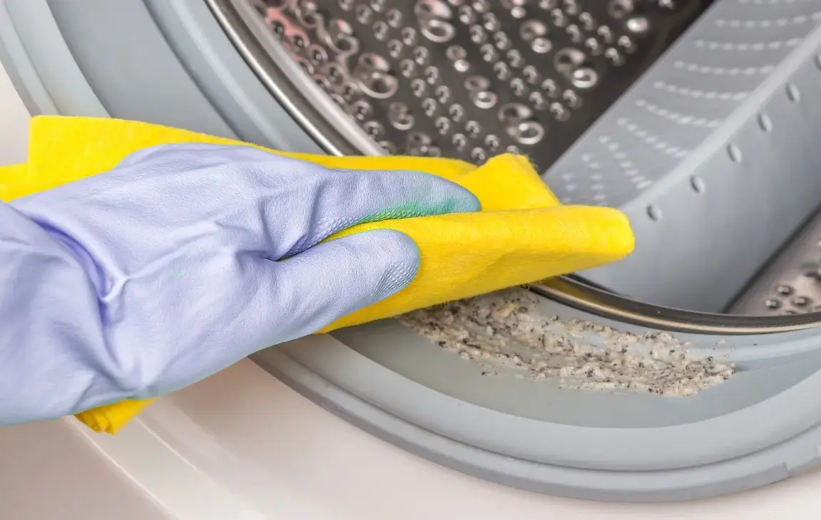 Clean Your Dryer Vent in a Few Easy Steps