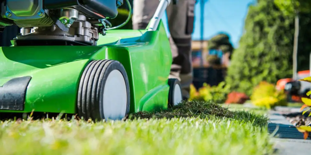 DIY Lawn Care Plan That's Easy to Maintain
