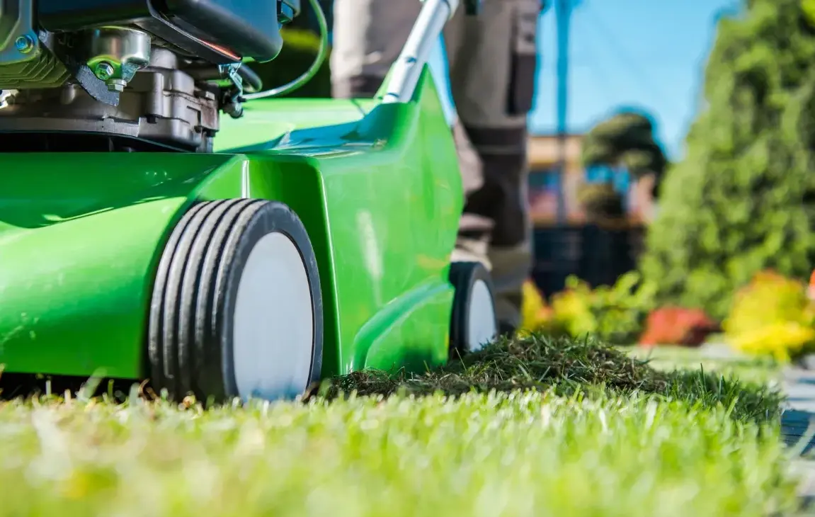 DIY Lawn Care Plan That's Easy to Maintain