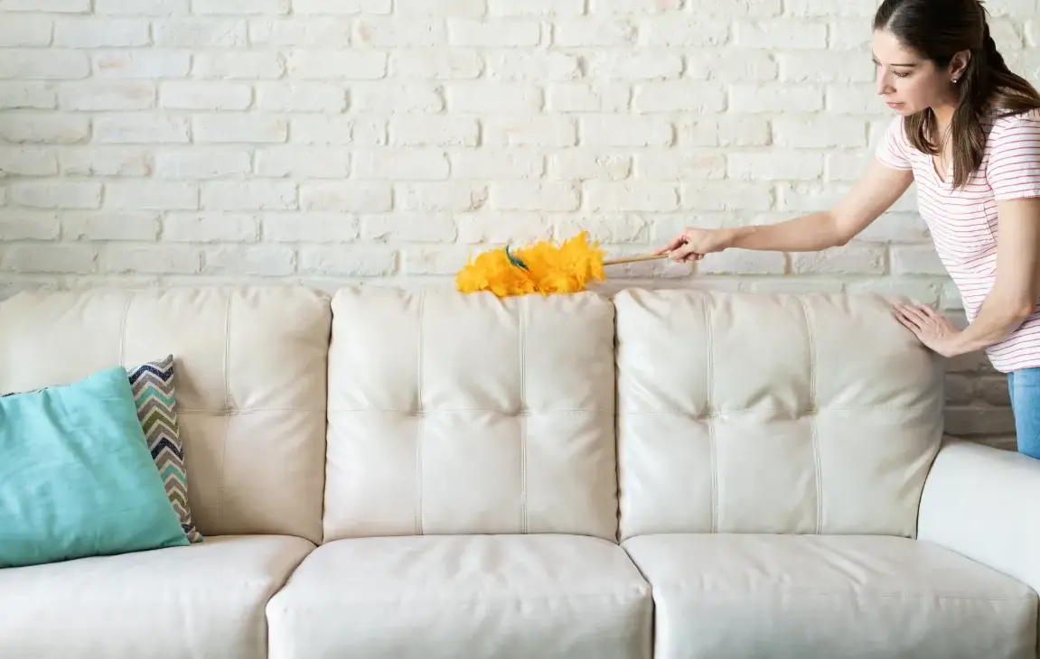 How to reduce dust in the house