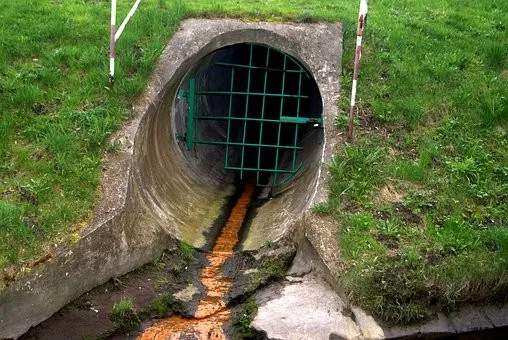 Flushing Items that Shouldn't be Flushed