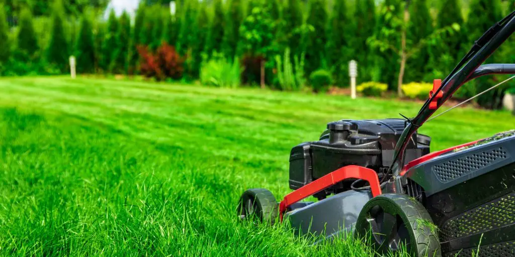 Here Are Some Cool Technology You Can Add To Upgrade Your Lawn