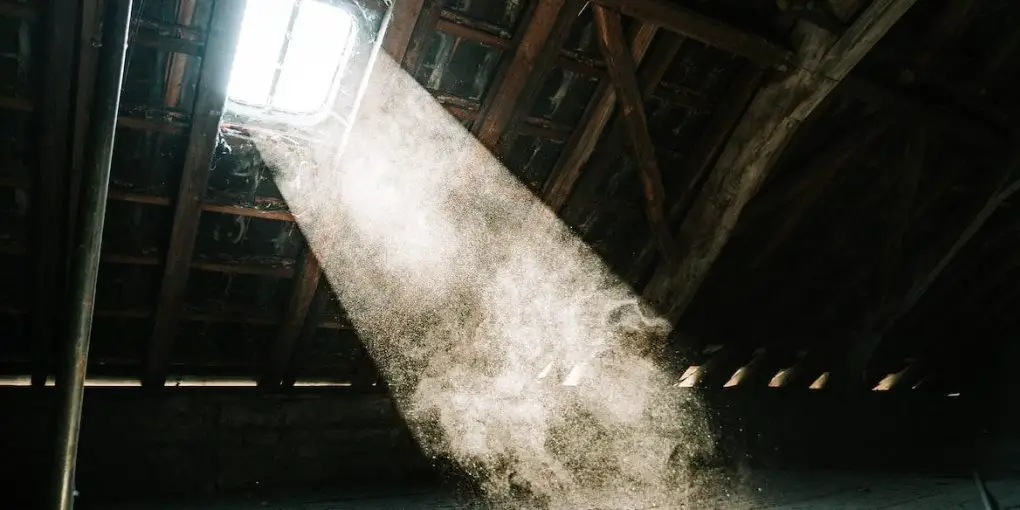 A Few Effective Ways to Get Rid of Condensation in Your Loft Space