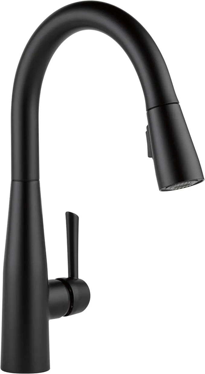 Delta Faucet Essa Kitchen Faucet with Pull Down Sprayer